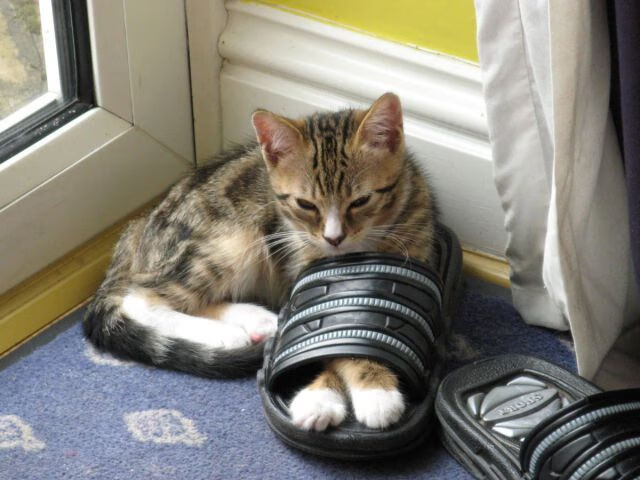 冲刺阶段划频骤升影响名次走势，冲刺阶段的意思