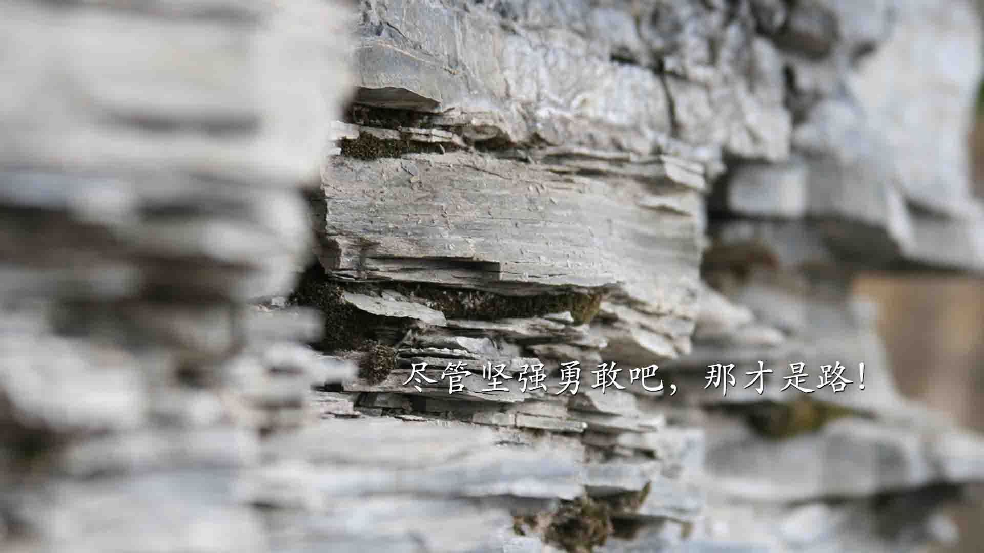 开云网址-加拿大女子接力队表现日益成熟，加拿大女子接力队表现日益成熟的原因是