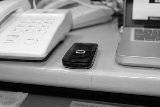 开云·体育官方网站入口-技术数据揭示冠军转身平均仅0.65秒，冠军转盘