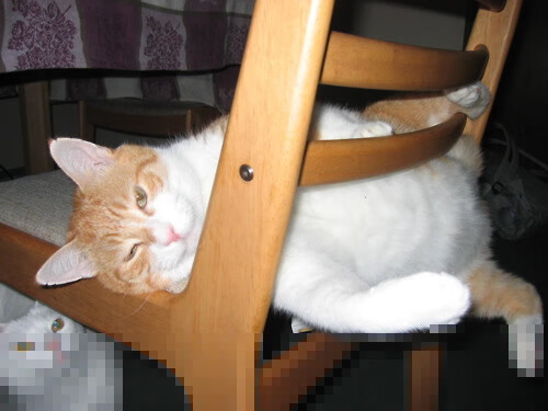 控球比例是否失去比赛结果预测的决定性作用，控球率低的原因