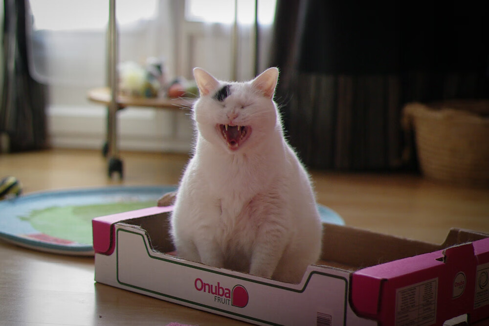 足球基层赛事直播推动群众关注热度,足球赛事活动