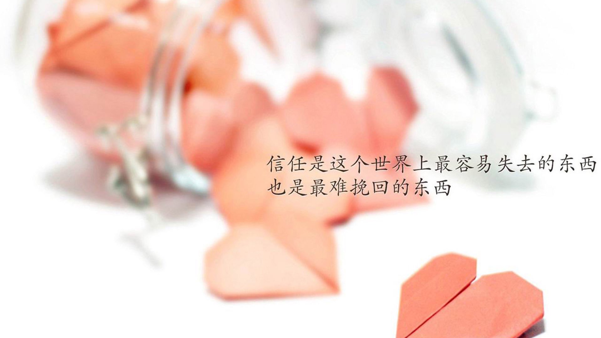 中国队决赛精彩瞬间成为焦点，决赛中国队日本队