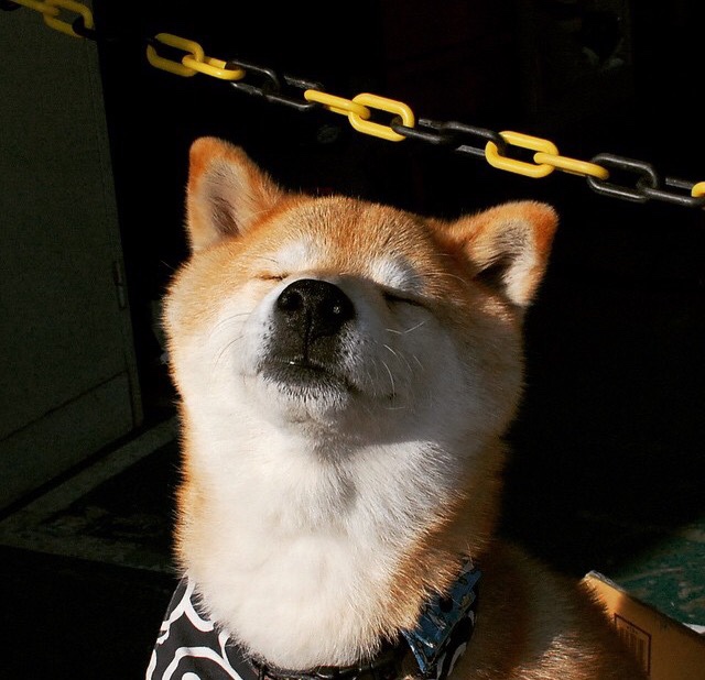 希腊女篮在欧洲锦标赛中力争金牌，彰显强大实力，希腊女篮世界排名